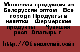 Молочная продукция из Белоруссии оптом - Все города Продукты и напитки » Фермерские продукты   . Чувашия респ.,Алатырь г.